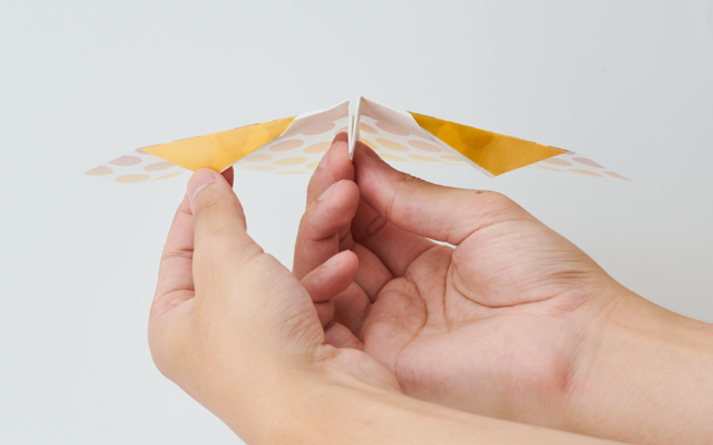 Papillon Origami Airplanes - Image 2