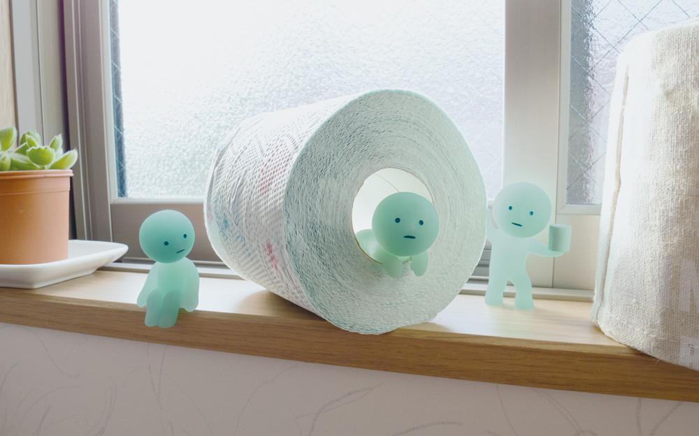 SMISKI Toilet Series - Image 5